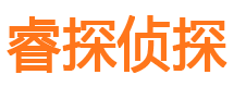 镇沅市婚外情调查